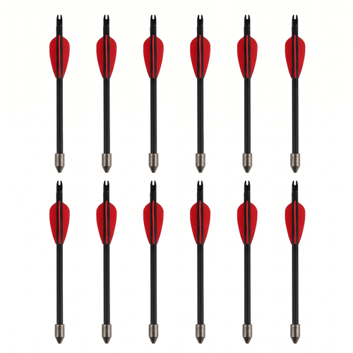 Extra Arrows Set (12)